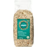 Davert Organic Sunflower Seeds