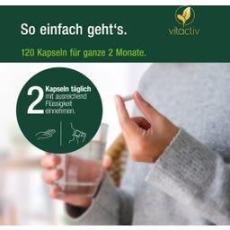 Vitactiv Mariendistel Komplex - 120 Kapseln
