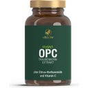 Vitactiv OPC Traubenkernextrakt - 180 Kapseln