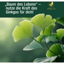 Vitactiv Ginkgo & Ginseng + B12 - 60 Kapseln