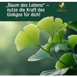Vitactiv Ginkgo & Ginseng + B12 - 60 Kapseln