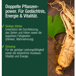 Vitactiv Ginkgo & Ginseng + B12 - 60 Kapseln