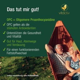 Vitactiv OPC Traubenkernextrakt - 180 Kapseln
