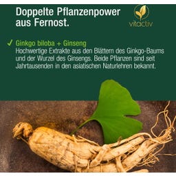 Vitactiv Ginkgo & Ginseng + B12 - 60 Kapseln