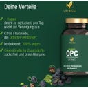 Vitactiv OPC Traubenkernextrakt - 180 Kapseln