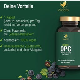 Vitactiv OPC Traubenkernextrakt - 180 Kapseln