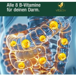 Vitactiv Darm Freunde - Probiotika - 60 Kapseln