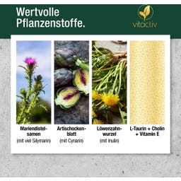 Vitactiv Mariendistel Komplex - 120 Kapseln