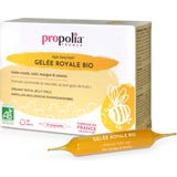 Propolia Oganic Royal Jelly Vials
