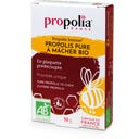 Propolia Organic Pure Propolis to Chew - 10 g