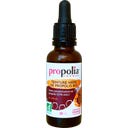 Propolia Organic Propolis Tincture - 30 ml