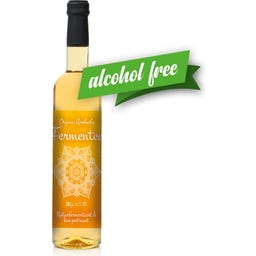 Obsthof Retter Organic Kombucha Fermentee - 500 ml