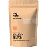 Hay Herb Kompleks za izgradnju kolagena