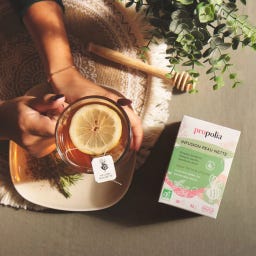 Propolia Organic Clear Skin Herbal Tea - 20 bustine