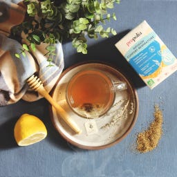 Propolia Organic Breathe Easy Herbal Tea - 
