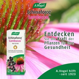 A.Vogel Echinaforce Sambucus Hot Drink - 100 ml