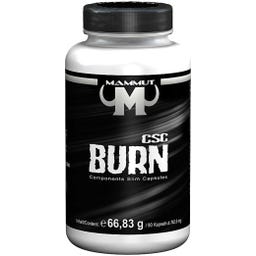 CSC Burn