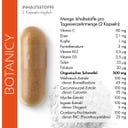 B134KVAPIC06CCM6S18Q8P0FT