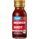 YLLO Ingwer Shot mit Cranberry
