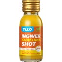 YLLO Ingwer Shot mit Kurkuma