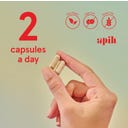 Apih Digestive Blend - 60 kapsule