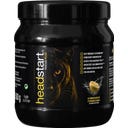 Headstart Прах Focus Plus Polvere - Лимон - 500 г