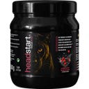 Headstart Focus Plus en Polvo - Frutos del Bosque