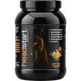 Headstart Focus Plus en Polvo - Tropical