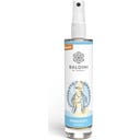 TAOASIS Baldini Raumspray Engelduft®