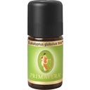 PRIMAVERA Eucalipto globulus Bio - 5 ml