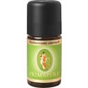 PRIMAVERA Siperialaiset kuusen neulaset - 5 ml