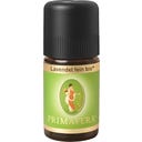 PRIMAVERA Delikatna lawenda bio - 5 ml