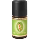 PRIMAVERA Casca de Canela do Ceilão Bio 30% - 5 ml