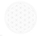 Carry Bottle Sticlă - Flower of Life - 1 buc.