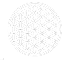 Carry Bottle Sticlă - Flower of Life - 1 buc.