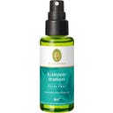 PRIMAVERA Konzentration Raumspray bio - 50 ml