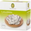 PRIMAVERA Lotus Flower Aroma Fragrance Stone - 1 pc
