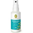 PRIMAVERA Spray Refroidissant pour la Peau - 50 ml