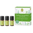 PRIMAVERA Set Duftende Hausapotheke bio - 1 Set