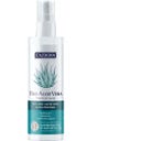 ENZBORN Aloë Vera Premium Spray - 200 ml
