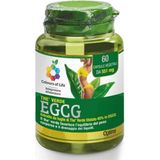 Optima Naturals Grüner Tee EGCG