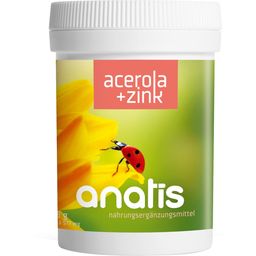 anatis Naturprodukte Acerola mit Zink - 90 Kapseln