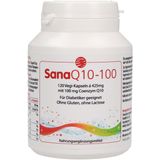 SanaQ10