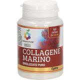Optima Naturals Colágeno Marino