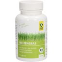 Raab Vitalfood Organic Wheatgrass Capsules - 90 capsules
