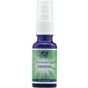 Essenza ai Quanti di Luce, Identità 20 ml