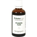 Kräuter Max Motherwort Plant Extract - 50 ml