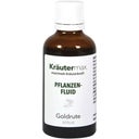 Kräutermax Pflanzenfluid Goldrute - 50 ml