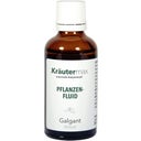 Kräuter Max Galangal Plant Extract - 50 ml
