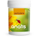Auricularia Cogumelo BIO, 90 Cápsulas